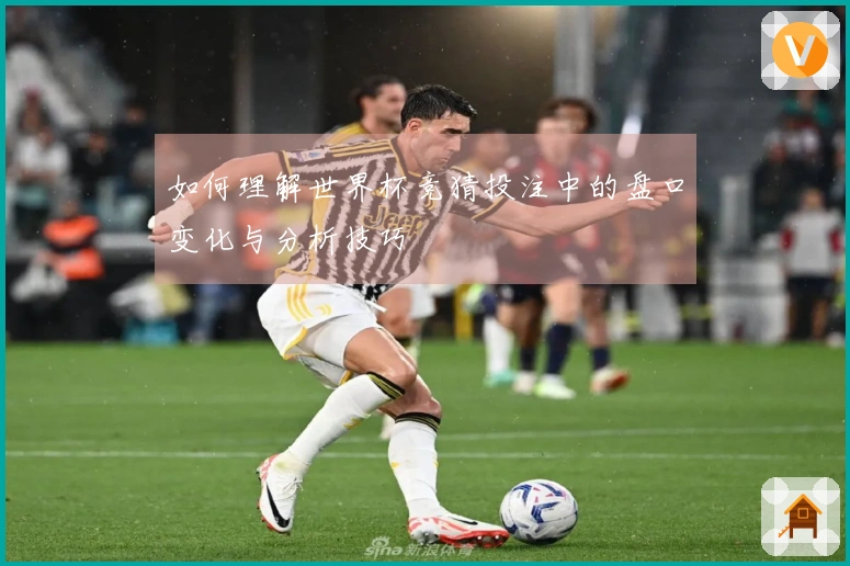 如何理解世界杯竞猜投注中的盘口变化与分析技巧
