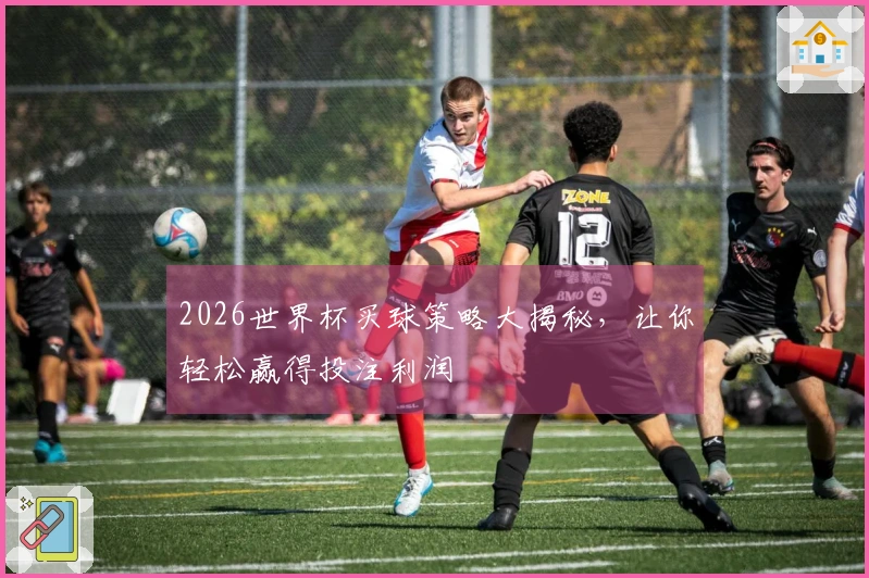 2026世界杯买球策略大揭秘，让你轻松赢得投注利润