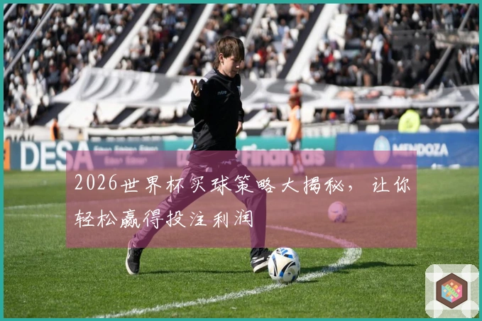 2026世界杯买球策略大揭秘，让你轻松赢得投注利润