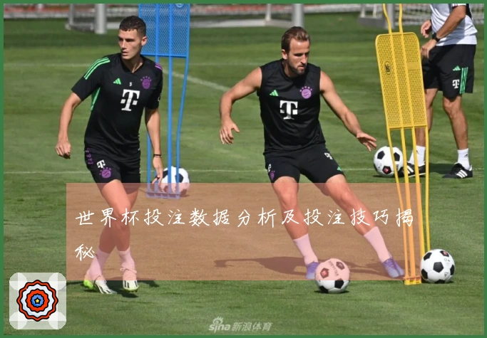 世界杯投注数据分析及投注技巧揭秘