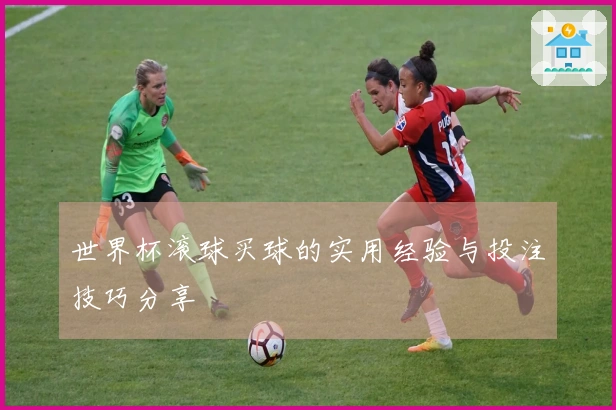 世界杯滚球买球的实用经验与投注技巧分享