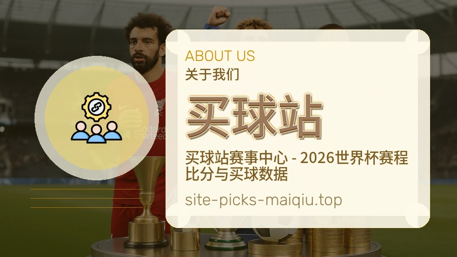 关于 买球站 团队与服务