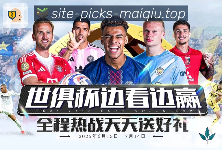 球员专访